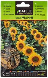 Semillas Batlle Girasol para pipas