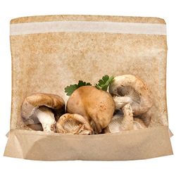 Turtel Pack – spännbar grundväska med synfält 40 G/M2 + 15 Pp 21 x 16/12 x 3 cm naturkraft – 4 000 un.