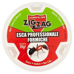 ZIG ZAG Esca Insetticida Antiformiche In Plastica Rigida Pronta All'uso, Con Gel Antiformiche Da Gr, Inodore, Non Cola, Non Sporca., Bianco, 7.6x7.6x7.6 cm, 10 Grammo
