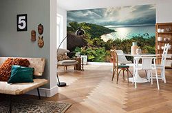 Komar SHX9-036 Non-Woven Photo Wallpaper Garden of Trying Design XXL Decoration Nature Landscape Bedroom Living Room Office Hallway 450 x 280 cm Wide x Height Multi-Coloured