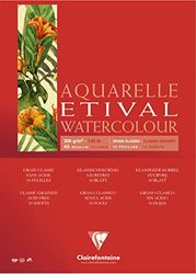 Clairefontaine 96397C Etival Aquarelblok (mat, 300 g, geschikt voor alle neustechnieken, 4-zijdig verlijmd, 10 vellen, 30 x 40 cm, ideaal voor beginners, zuurvrij), wit