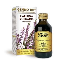 Dr Giorgini Integratore Alimentare, Erica Gemmoderivato Concentrato Liquido Analcoolico - 100 ml