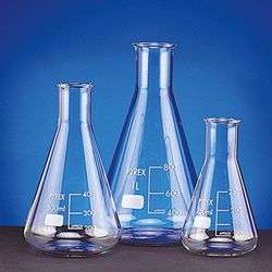 SCILABWARE 211902 Erlenmeyer 10 ml borosilicaatglas, niet verstopt, smalle kraag (10 stuks)