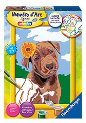 Ravensburger 4005556290437 - Número de arte, diseño de cachorro con flor