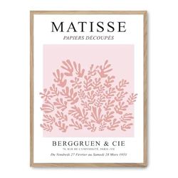 Cuadro matisse papers decoupes_FASE5
