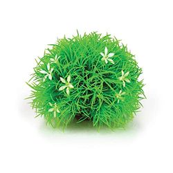 biOrb Bola topiária com margaridas