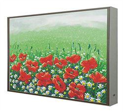 Ccretroiluminados Cuadro con Marco de Madera Lacada en Blanco Iluminado con Leds Jardin de Amapolas