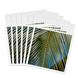 3dRose gc_278917_1 - Tarjeta de felicitación (6 unidades), diseño de palmera de coco, color hawaii