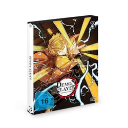 Demon Slayer - Staffel 1 - Vol.3