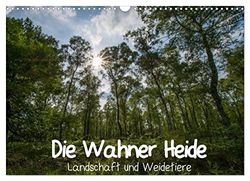 Die Wahner Heide - Landschaft und Weidetiere (Wandkalender 2023 DIN A3) : Stimmungsvolle Fotografien aus der Wahner Heide, dem größten und einem ... (Monatskalender, 14 pages) (CALVENDO Natur)