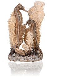 biOrb Decorazione per acquario, cavalluccio marino (colore naturale), accessori artificiali splendidamente dettagliati per aggiungere colore, decorazione per acquario dall'aspetto naturale per sfondo