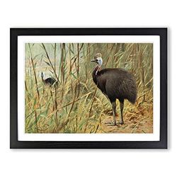 W Kuhnert Cassowary Vintage Framed Wall Art Print, Ready to Hang Picture for Living Room Bedroom Home Office Décor, Black A4 (34 x 25 cm)