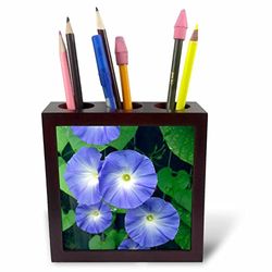 3DROSE PH 228266 _ 1 12,7 cm "Morning Glory Flowers tile Pen Holder