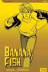Banana Fish, Vol. 14: Volume 14