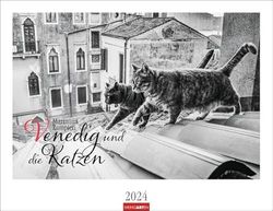 Venedig und die Katzen Kalender 2024. Samtpfoten in der Lagunenstadt, eingefangen in einem großen Wandkalender in schwarz-weiß. Hochwertiger Fotokalender im Großformat für Katzenliebhaber.