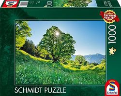 Schmidt Spiele 59761-Aarce de montaña en el Sol, San Galo, Suiza, 1000 Piezas, Multicolor (59761)