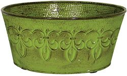 Robert Allen Home & Garden MPT01894 Fluer de Lis Bowl Planter, 20,3 cm Tansy Verde