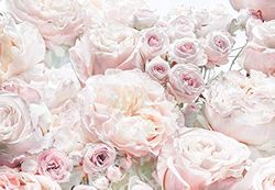 Komar 8-976 Papel de parede fotográfico para parede, 8 partes, 368 x 254 cm, design de rosas