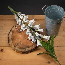 The Recipe White Foxglove