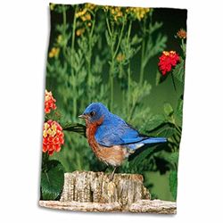 3dRose Eastern Bluebird Male on Wooden Fence Near Garden, Lantana and Rue Towel, Multi-Colour, 15 x 22-Inch