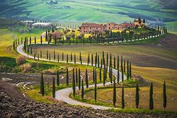 Papermoon Fields in Tuscany - Carta da parati fotografica in tessuto non tessuto, stampa digitale, colla inclusa, diverse misure