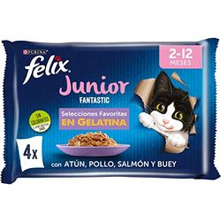PURINA FELIX Fantastic Junior, Marrone, 4.08 kg (Paquete de 1) Uomo