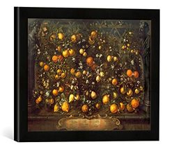 Ingelijste foto van Bartolomeo Bimbi "Verschillende citrusvruchten", kunstdruk in hoogwaardige handgemaakte fotolijst, 40x30 cm, mat zwart
