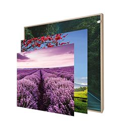 INFORMA LED-bildram i träutseende, 3 byten bildramskydd tema natur, ramlös, 50 x 50 cm, 27 lysdioder, utbytbara motiv med UV direkttryck