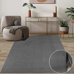 Tapis Mia's Cleo Luxueux Tapis de Salon Doux avec Entretien Facile et Envers antidérapant, Anthracite, 120 x 120 cm