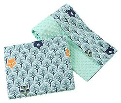 Medi Partners Couverture bébé avec Oreiller 100% Coton Minky pour Enfants Bilatéral 75x100 + 35x30cm Ensemble Multifonctionnel pour Un lit