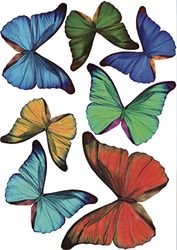PLAGE 301511 3D Charming Butterfly Stickers Colorful Butterflies [7 Butterflies Between 8 x 6,5 cm and 14 x 11 cm], plástico, 14 x 0.1 X 11 cm