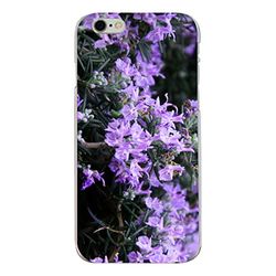 Disagu Design Case skyddsskal för Apple iPhone 6 skal skal – motiv "rosmarinblommor"