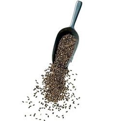 France Herboristerie Tisane Chardon Marie Semence Entière Silybum Marianum