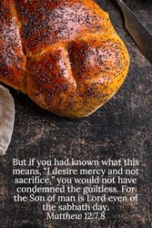But if you had known what this means, “I desire mercy and not sacrifice,” you would not have condemned the guiltless. For the Son of Man is Lord even of the sabbath day. Matthew 12:7,8 - Daily Journal