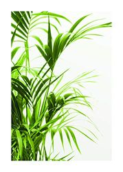 Komar Muurafbeelding | Reed Leaves | Poster, foto, woonkamer, slaapkamer, decoratie, kunstdruk | zonder lijst | P062-50x70 | Formaat: 50 x 70 cm (breedte x hoogte)