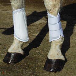 Rhinegold - Stivali Traspiranti in Neoprene, Stivali Spazzolatura, Bianco, COB