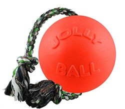 Jolly Pets Zabawa toczy się dookoła zabawki.
