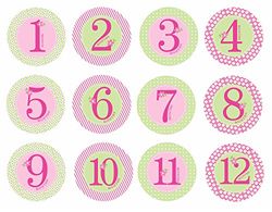 Pearhead stickerset voor baby's, voor de eerste maanden, met Engels opschrift 60031 roze