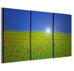 Impresiones sobre lienzo, tulipes, cuadros modernos en 3 paneles ya enmarcados, lienzo listo para colgar, 120 x 90 cm