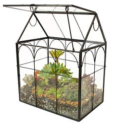 ElegantLife Terrario suculento, Maceta Hecha a Mano con Forma de casa con Tapa abatible Superior para Musgo de Helecho, Cactus, Plantas de Aire (no Incluye Planta)