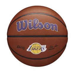 Wilson Basketbal, Team Alliance Model, LOS ANGELES LAKERS, Binnen/buiten, Gemengd leer, Maat: 7