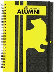 Cerdá Unisex Kid's Libretas Display Harry Potter Notebooks, A5: 4, 6, 2, Geel