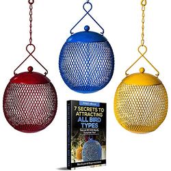Lot de 3 mangeoires colorées pour Oiseaux ou bougeoirs Assortis
