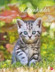 Calendario postale 2024 di Monika Wegler irresistibile gatto bambino in ritratto. Un grande calendario da parete con molte foto e storie. Calendario decorativo per gatti.