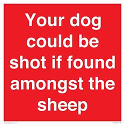 Your dog could be shot if found amongst the sheep Sign - 300x300mm - S30