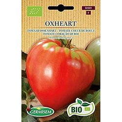 Germisem Organisch Oxheart Tomaat Zaden 0.5 g