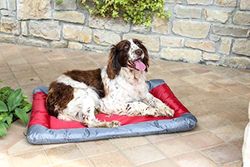 Sogni e Capricci Pets Pakket 4 waterdichte dierenvloermatten, rood, 55 x 38 cm