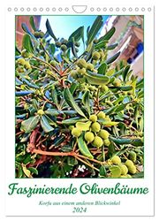 Faszinierende Olivenbäume (Wandkalender 2024 DIN A4 hoch), CALVENDO Monatskalender: Olivenbäume fotografiert auf Korfu unterschiedlichen Alters