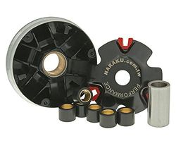 variomatik Naraku SPORT – Baotian BT49QT-22 F1 – bt50qt-22 F1 Tanco