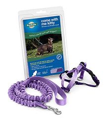 PetSafe, come with Me Kitty, Pettorina e guinzaglio Elastico per Gatti